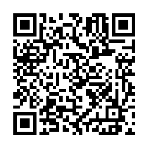 黄毛他们这些人身上的那股压力一下子就消失了大半二维码生成