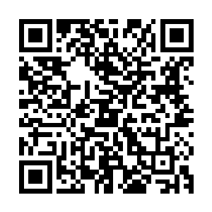 黄毛内心愈发觉得自己这一次真的押对宝做了一次最正确的选择二维码生成