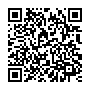 黄毛大王笑着把兽皮铺到石椅上看着流墨墨坐了下来然后询问道二维码生成