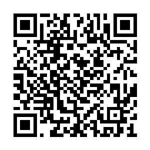 黄毛带着四五个保安面对七八个手持砍刀的混混二维码生成