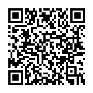 黄泉宗和梵天圣地的宗门宝库里的东西我要一半二维码生成