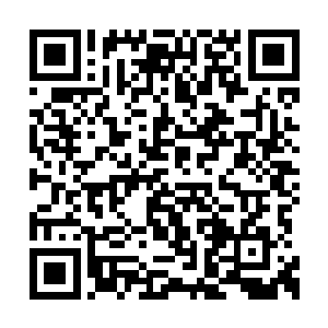 黄石公觉得跟一个修炼出了极致金色内炁的家伙二维码生成