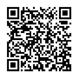 黄蓉听到洪七公的降龙十八掌是天下第一的掌法便动起了心思二维码生成