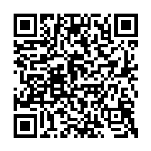 黄褐色的皮毛在这个季节简直是就是最好的伪装二维码生成