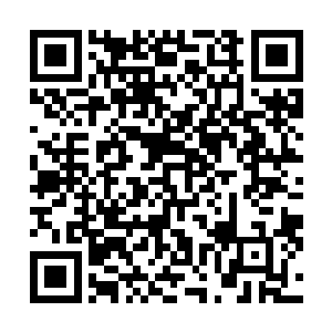 黄豆大的汗珠就从这个家伙的脑袋上一颗颗的滚落了下来二维码生成