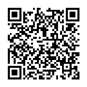 黄金一号里的值班人员在和平环境中生活得太久了二维码生成