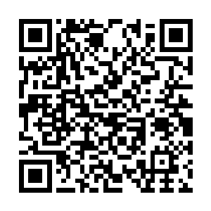 黄金盔甲整个人也被面前的这一景象惊的目瞪口呆二维码生成
