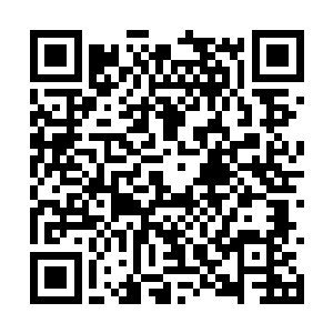 黄飞鸿之男儿当自强虽然不是李谦亲自出手导演的二维码生成