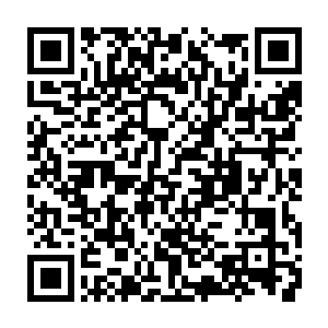 黄鼠狼大王和小妖站在一颗大叔后面悄悄的看向不远处慢慢走着的流墨墨二维码生成