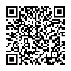 黎明战队的人已经全部和金属男神的打手战成了一团二维码生成