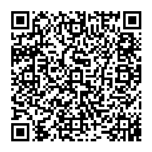 黎未未从儿子的背后揭下了一层软软的小皮听到了屋里的电话响了起来不由的对着帮女儿蜕皮的贝海说了一句二维码生成