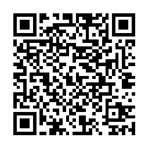 黎未未瞅了一眼贝海之后继续揉着自己的肚子说道二维码生成