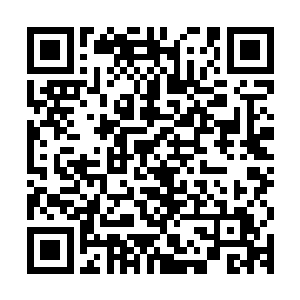 黎未未这边有孕在身而且老犯困聊了几句之后就回屋里睡觉去了二维码生成