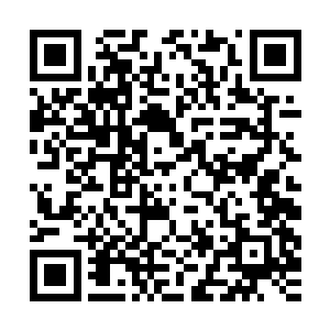 黏土还有溪流之中的鹅卵石把院子中的小溪的溪边都修葺了一遍二维码生成
