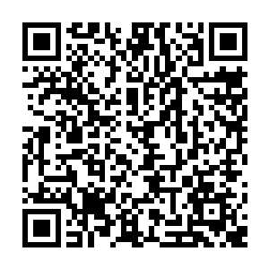 黑仔就动作迅速的从自己腰侧自制的硬壳小包里取出丹药塞到流墨墨嘴里二维码生成