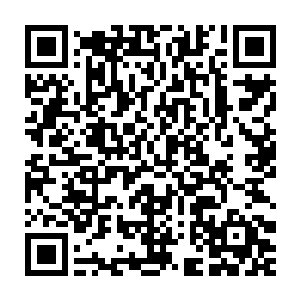 黑仔指着前面那个大概有两个足球场大好像一片小陆地的物体说道二维码生成