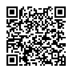 黑兵带着此次进入这里的所有黑家之人全都集合了二维码生成