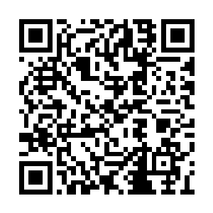 黑发黑眸的元始族深深警惕着金发碧眼的元始族二维码生成