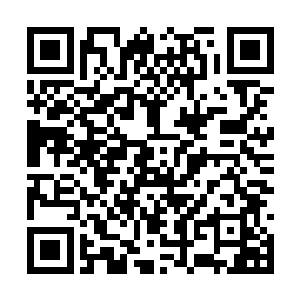 黑土城那些贵族总是年纪越大的男人越喜欢蝎蛇鱼二维码生成