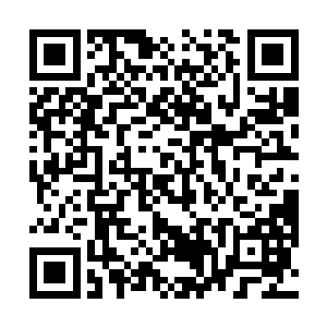 黑墙制造者将盘古宇宙内所有的碳基智慧生命统统抹杀二维码生成