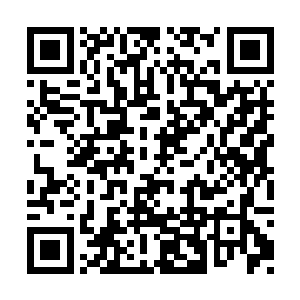 黑夜老祖就已经决定把祸水往黑海冰龙皇头上引二维码生成