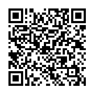 黑客煞星把华夏龙公司原址建设成了一个绿化公园二维码生成