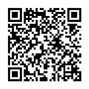 黑客煞星的阿德盖尔终于请到了一位真正有分量的高人二维码生成