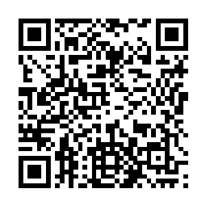 黑岛公司的几个高级管理层和小老板肯定就是其中之一二维码生成