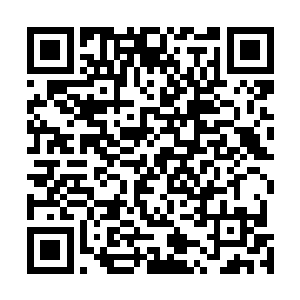 黑岛公司的这支佣兵小队竟然能够以如此大的毅力和勇气二维码生成