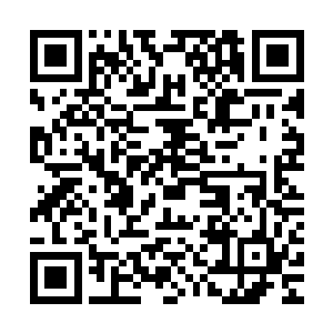 黑帝顿时感觉到一股力量在与自己争夺对小天罗地网的黑权控制二维码生成