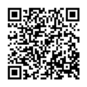 黑彪王在黑暗峡谷将黑暗大势领悟到了圆满之境二维码生成