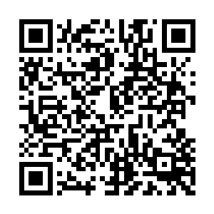 黑暗之中的邪龙迅速的游窜向大长老举起的手掌二维码生成