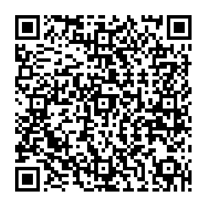 黑暗教廷和血腥玛丽之后在教廷将那批制造误会和混乱的人抓住之后就没有什么特殊的动静了二维码生成