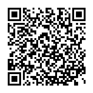 黑暗系与光明系是完全对立的……黑暗系至尊灵兽若真的冲出来的二维码生成