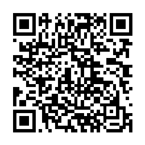 黑杰克最多占据我们生命中微不足道的很小一部分二维码生成