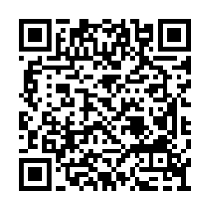 黑杰克的后宫团就换上了美杜莎一族的蛇鳞铠甲二维码生成