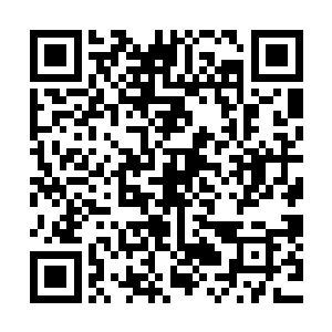 黑杰克的触手却比前几个黑暗空间的荆棘藤蔓更加诡异和迅猛二维码生成