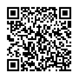 黑楼兰只需要一个保持黄金部族血脉纯净的理由二维码生成