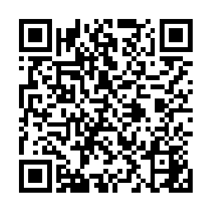 黑猫很可能正在其他地方用枪口指着陆晓红或者我们的脑袋二维码生成
