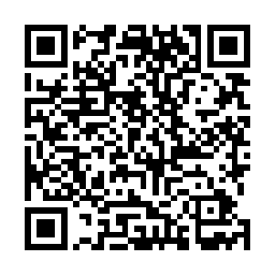 黑王虎咬住赤蛟而白鹤叼三大武道之人的储物袋紧跟其上二维码生成