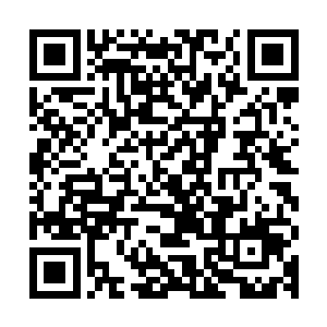 黑甲护卫指了一下旁边不远处的一个更加富丽堂皇的城门开口道二维码生成
