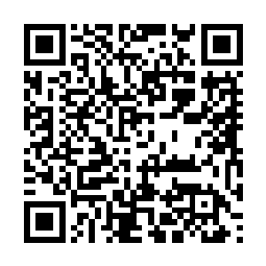 黑甲护卫无比忐忑的拿出了一张绿色的玉片开口道二维码生成