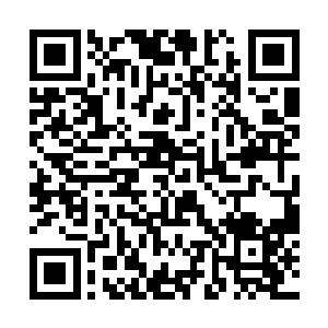 黑甲护卫顿时满脸惊慌的跪在了凤火舞两个人的面前二维码生成