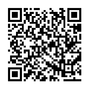 黑白分明的大眼睛中完全是对生活乐观向上的美好二维码生成