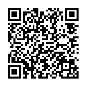 黑白画面之中的雨果穿着一件白色衬衫站在了镜子面前二维码生成