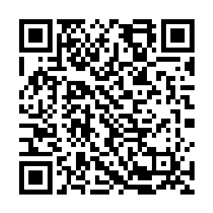 黑皮仆兽带着江帆来到水灵洲北面的一个镇子附近停下二维码生成