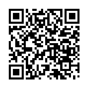 黑皮仆兽带着符妖和二怪赶回去见符天二维码生成