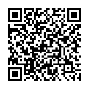 黑皮仆兽那么强大都只能靠符天神印去对付空间兽二维码生成