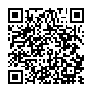 黑皮看人形骷髅虫和小憨的时候眼神中总有那么股杀意二维码生成