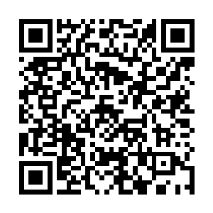 黑眼一记苍火黑龙炎打在一只由黄沙聚成的黄色大鸟上二维码生成